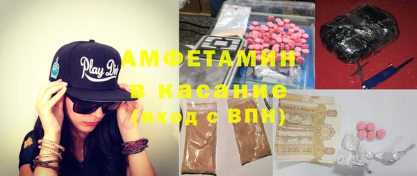 индика Киреевск