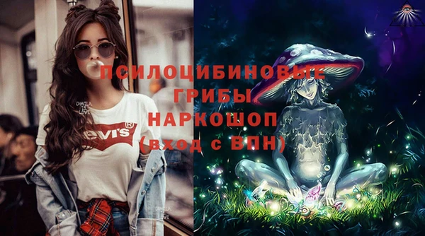 стаф Баксан