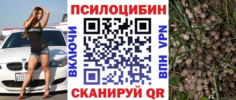 что такое наркотик  Ленск  Псилоцибиновые грибы Magic Shrooms 